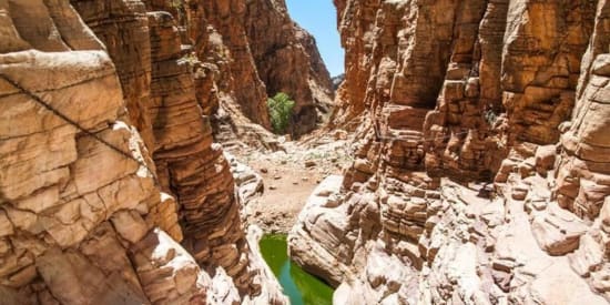 Olive Trail, Namib Naukluft Park