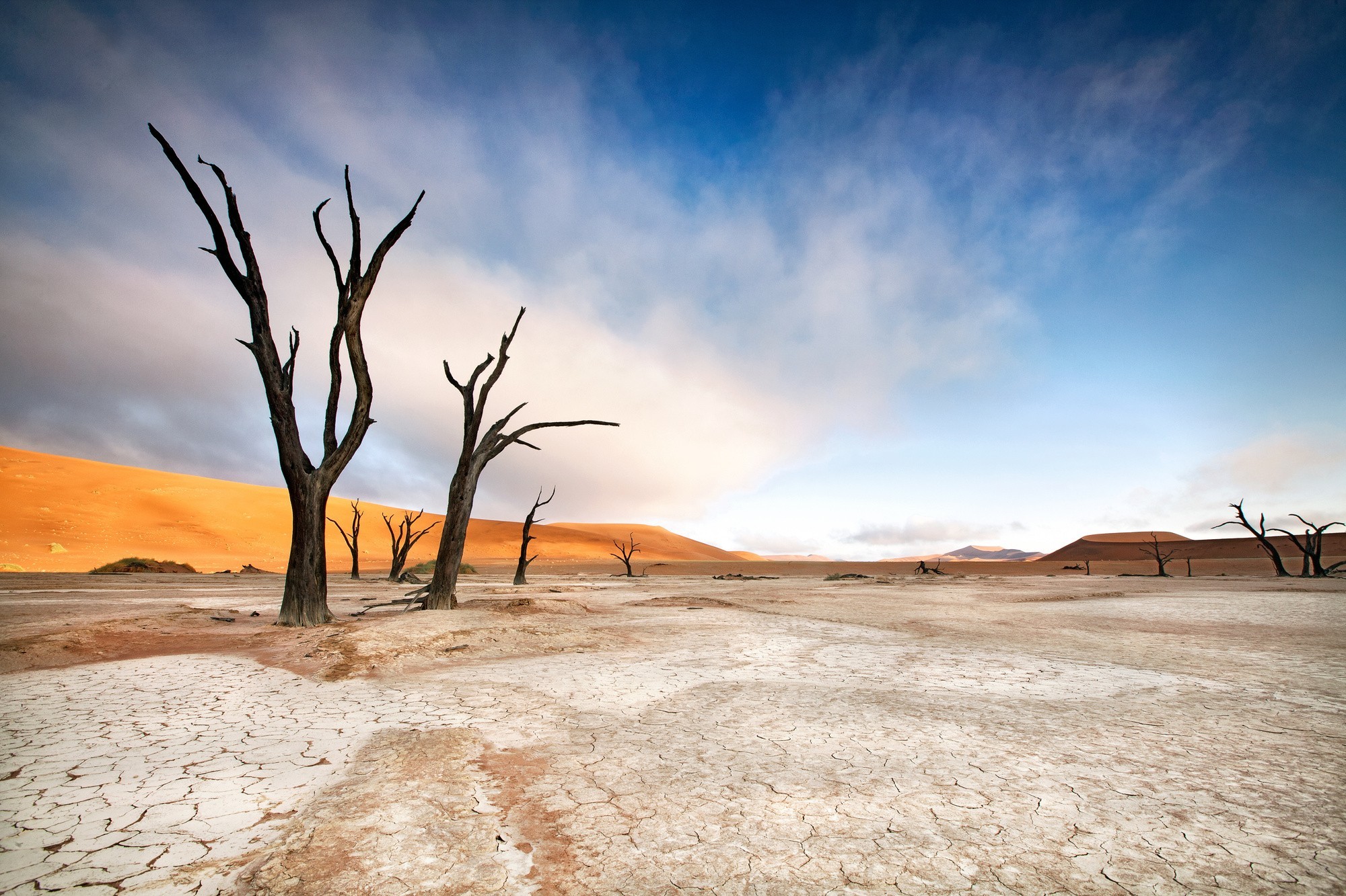 Namibia Desert and Dunes Luxury Self-Drive Safari