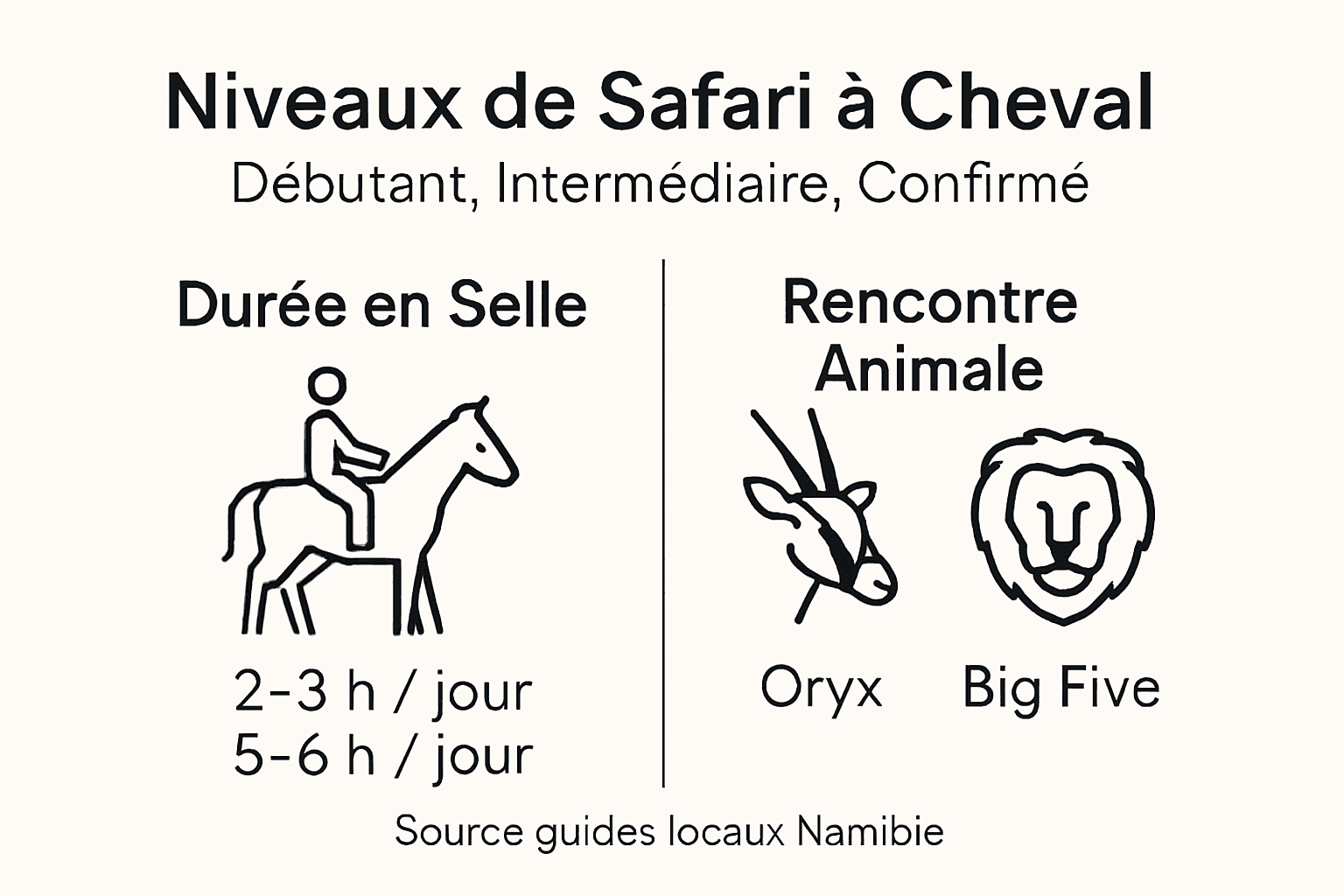 Aperçu des différents niveaux et des expériences de safari à cheval en images