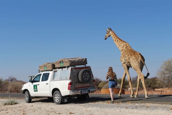 Namibia Luxury Self-Drive Safari (16 Days)