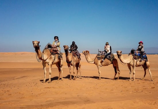Things to do in Swakopmund