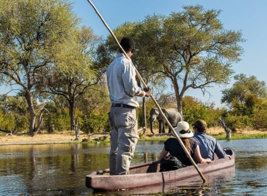 Thrilling Adventures Amidst Natural Splendour: Best Activities in the Okavango Delta