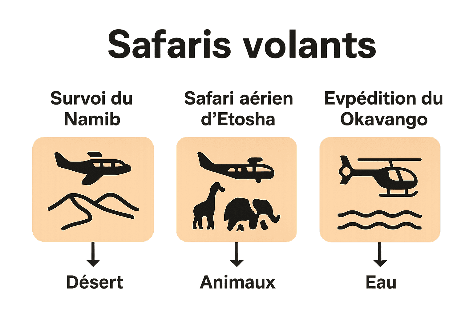 Comparatif visuel des principaux types de safaris volants en Namibie.