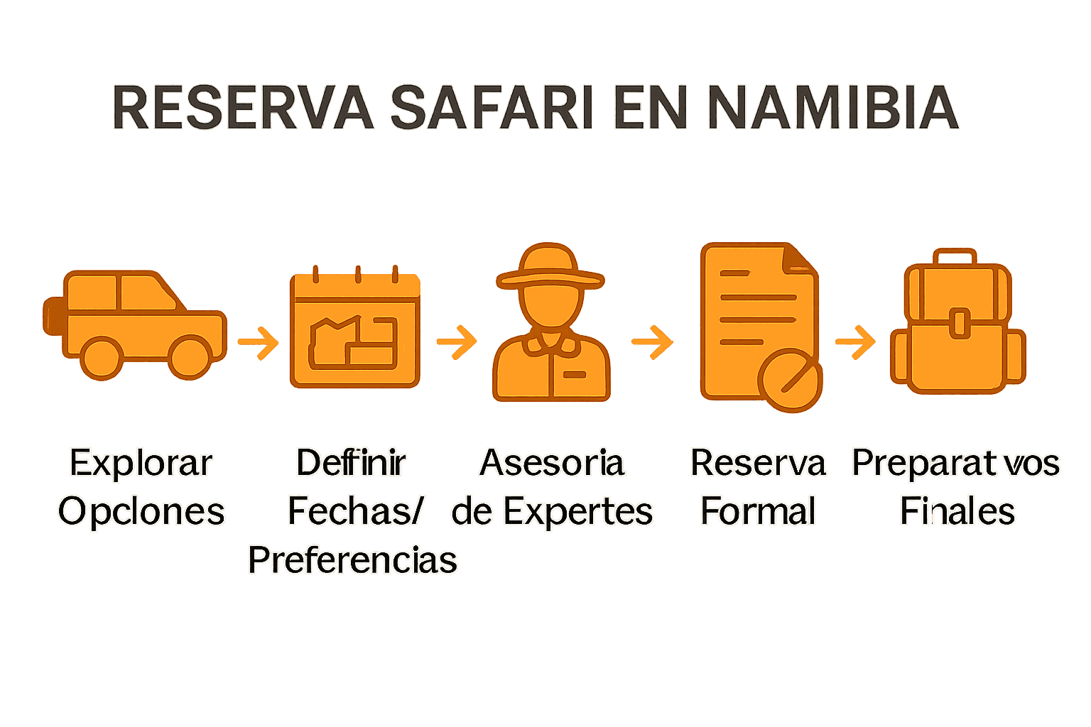 Infografía con los 5 pasos para reservar un safari en Namibia