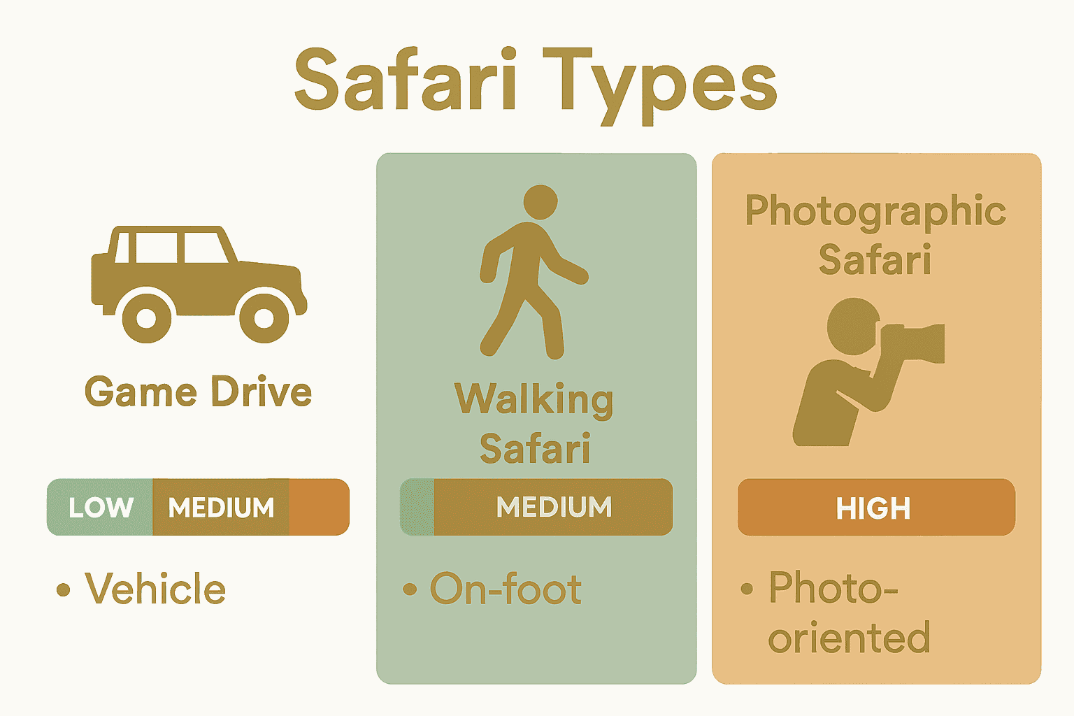 Comparison of major African safari types with icons and risk levels