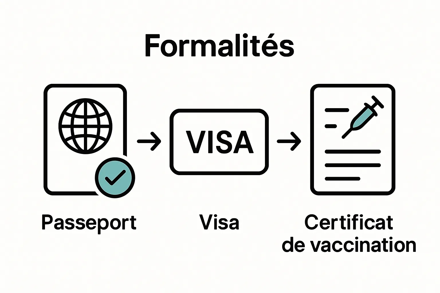 Infographic showing passport verification, visa, and vaccination steps for safari travel