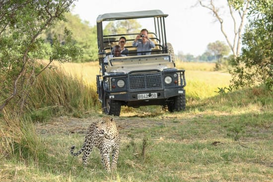 Guided Walking Safaris: Traversing Untamed Frontiers