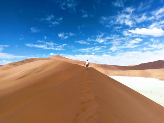 Safari Activities from Swakopmund
