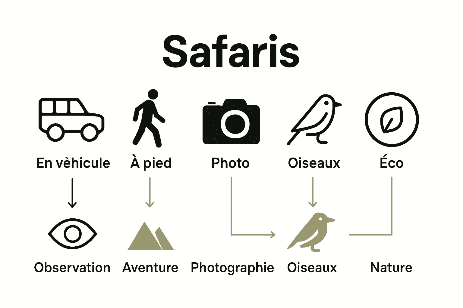 Comparatif visuel des types de safaris journée