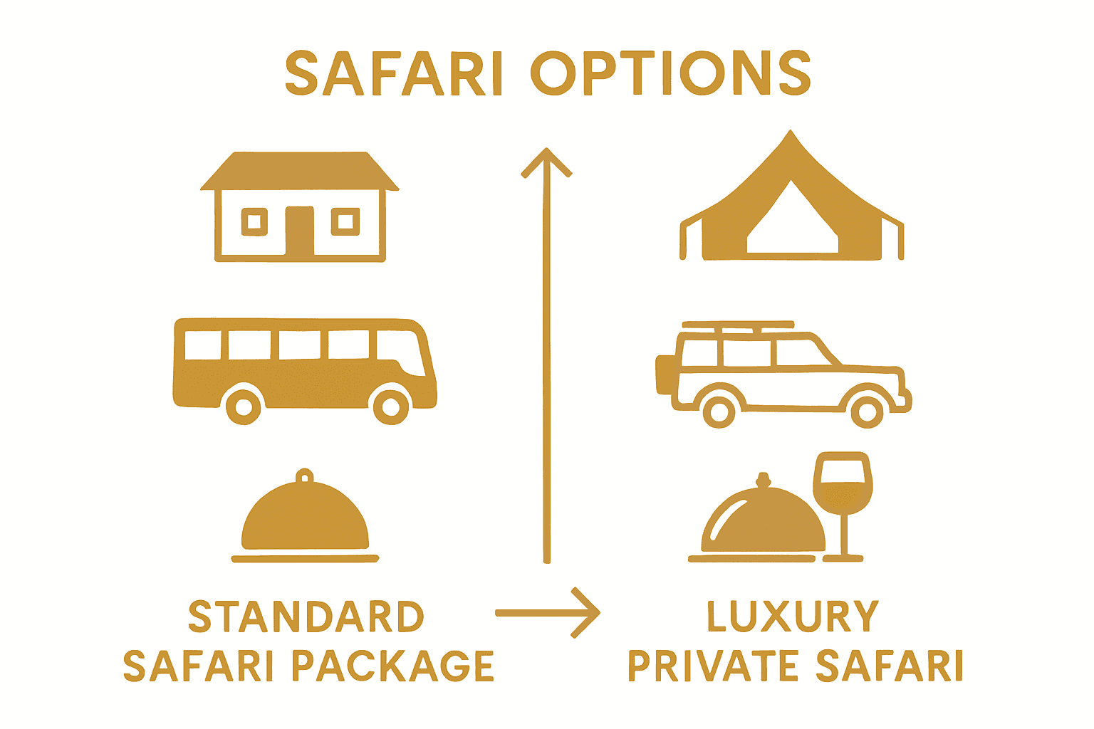 Infographic comparing safari packages