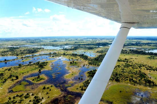 Namibia Safari vs Botswana Safari Wildlife Comparison