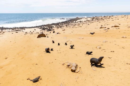 Exploring The Skeleton Coast