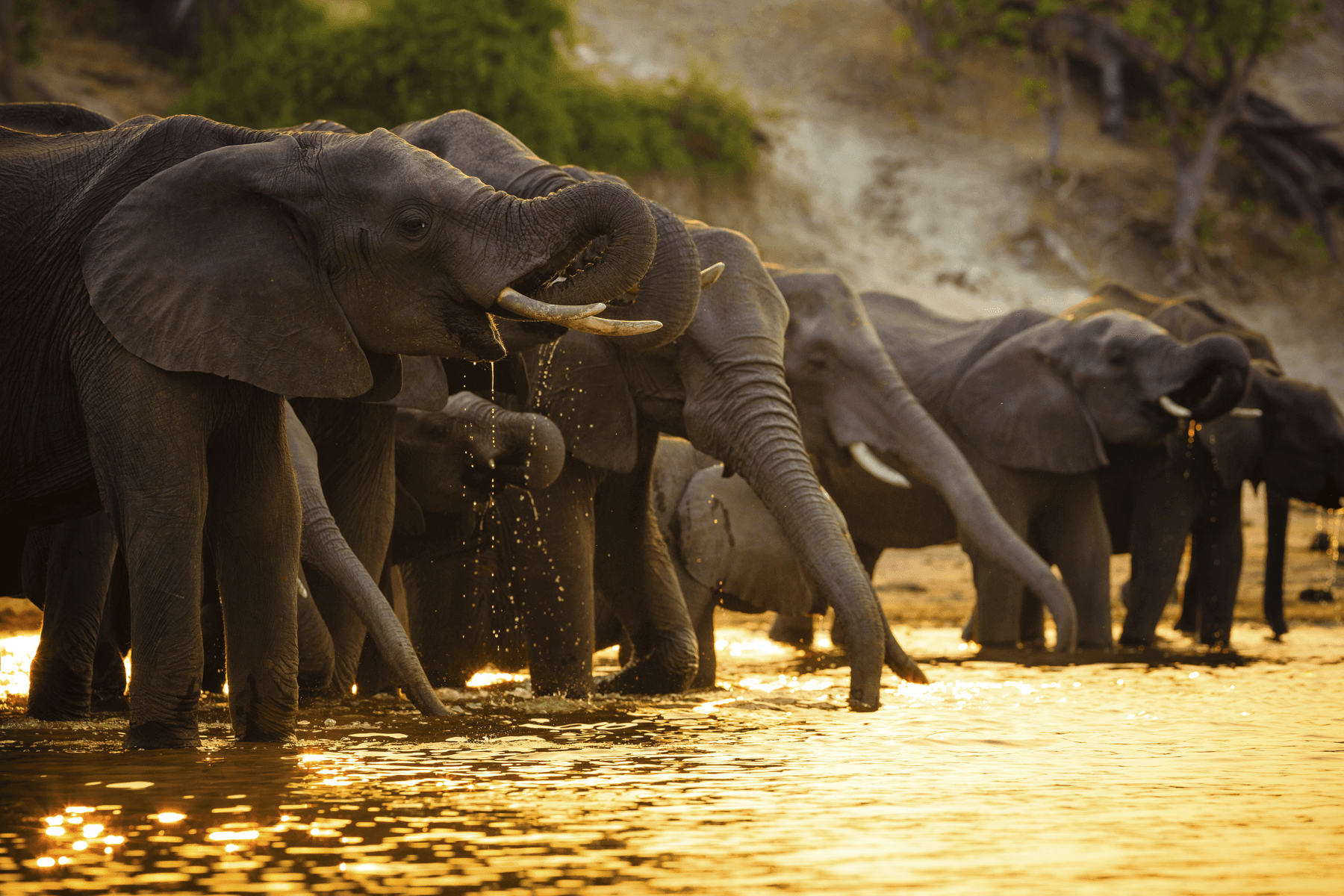 Exclusive Wilderness Safari