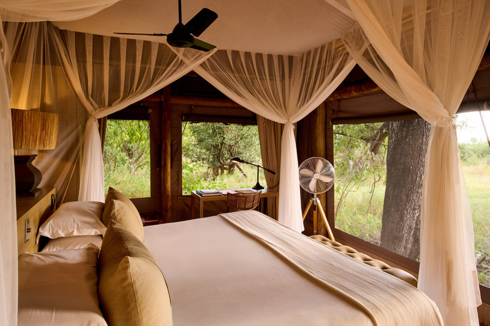 Camp Moremi