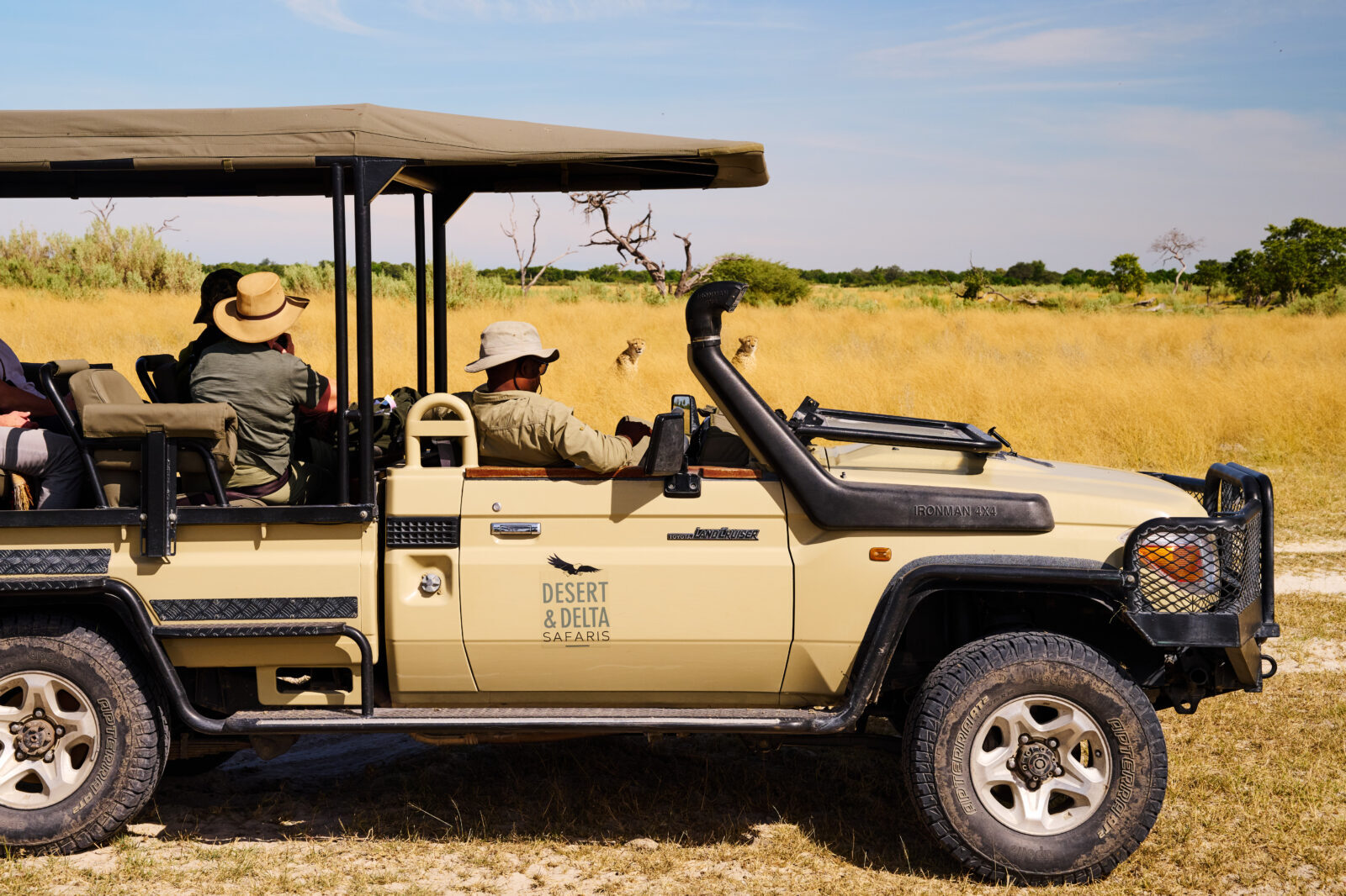 Camp Moremi