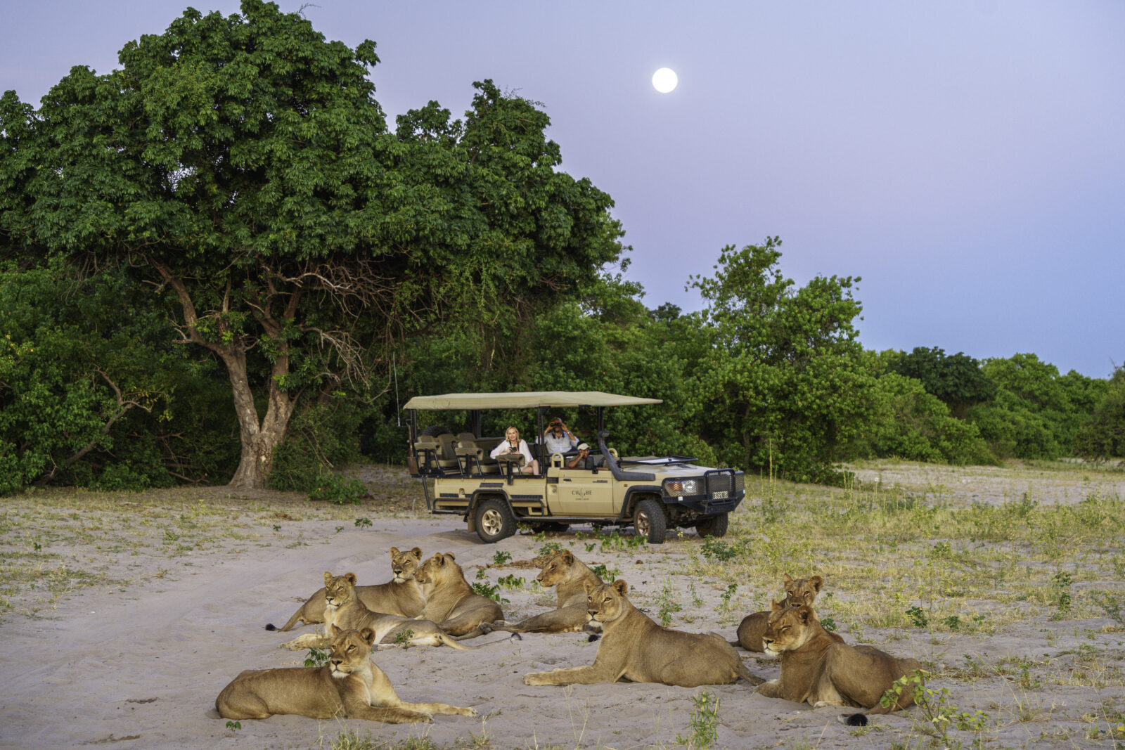 Chobe Game Lodge