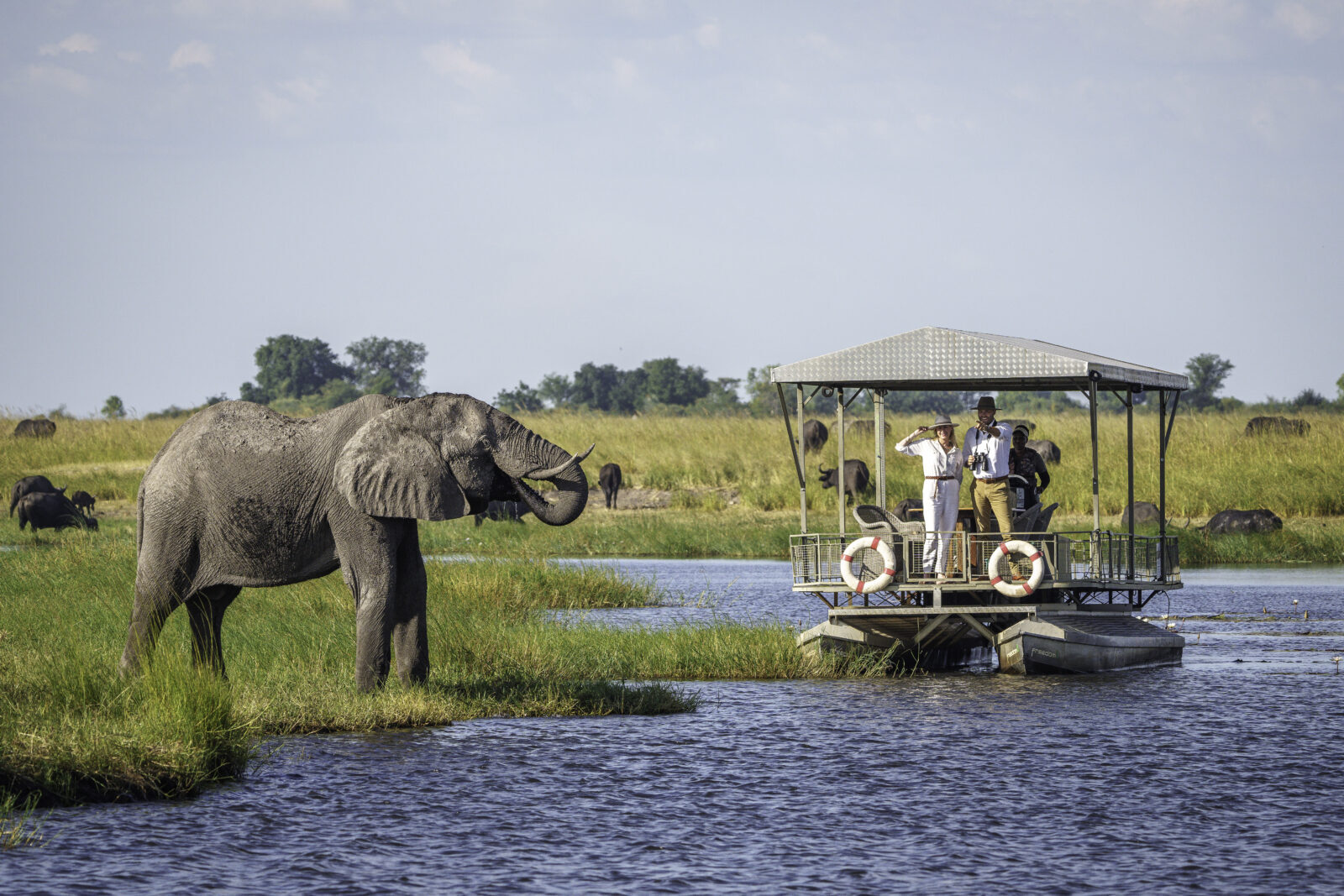 Chobe and Okavango Delta Green Season Safari