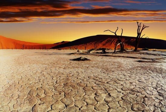The Best Time for Safari in Sossusvlei
