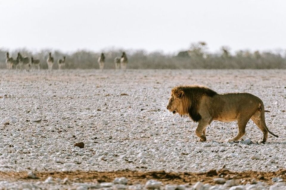 Namibia in September