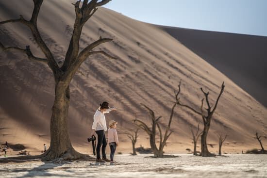 Namibia Safari vs Tanzania Safari: Landscapes & Landmarks Compared