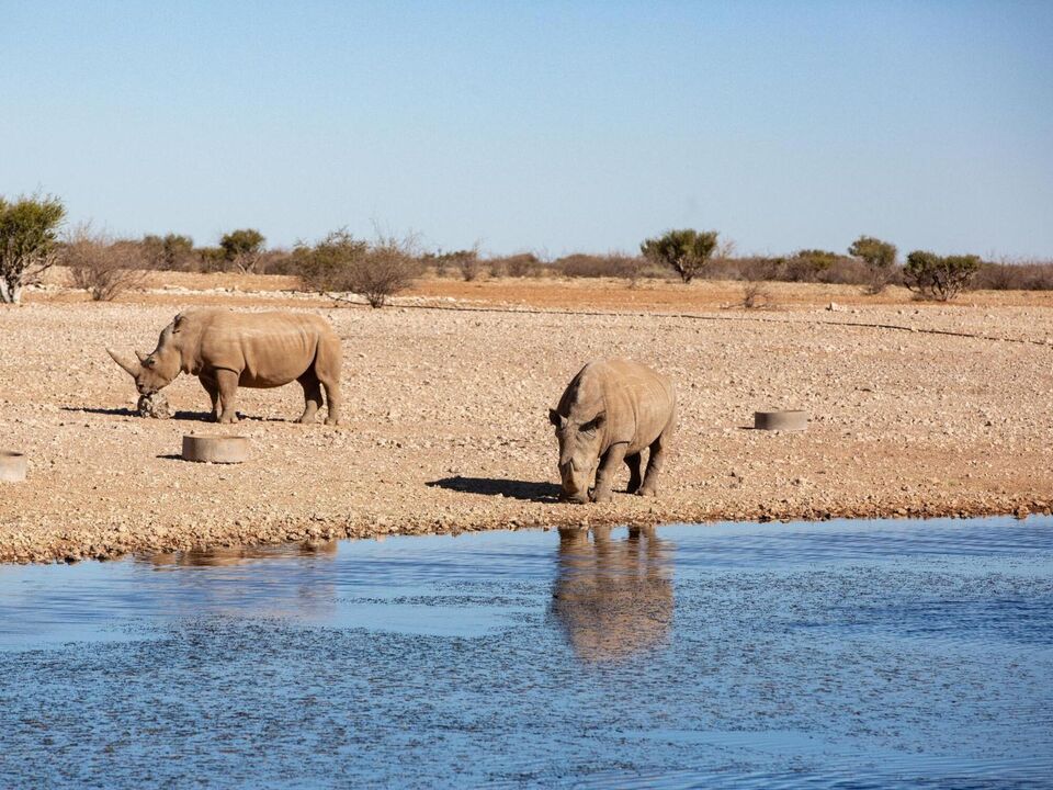 Lapa Lange Game Lodge, photo 3