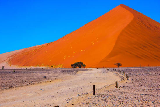 Exploring Namibia: Best Regions to Visit on Your Safari