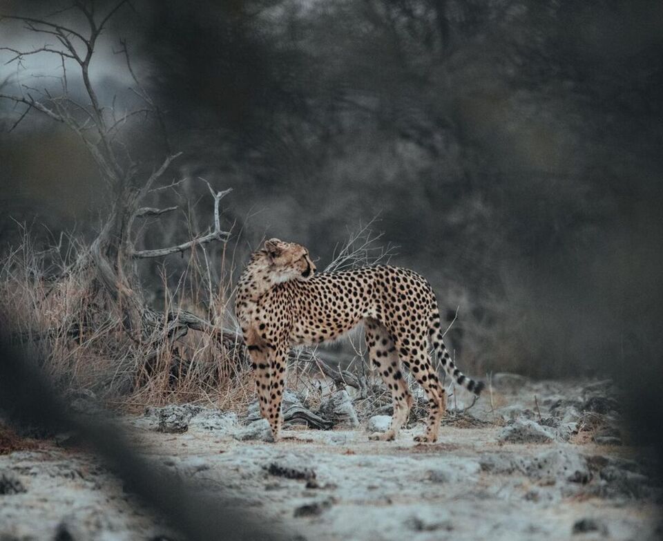 Namibia in May