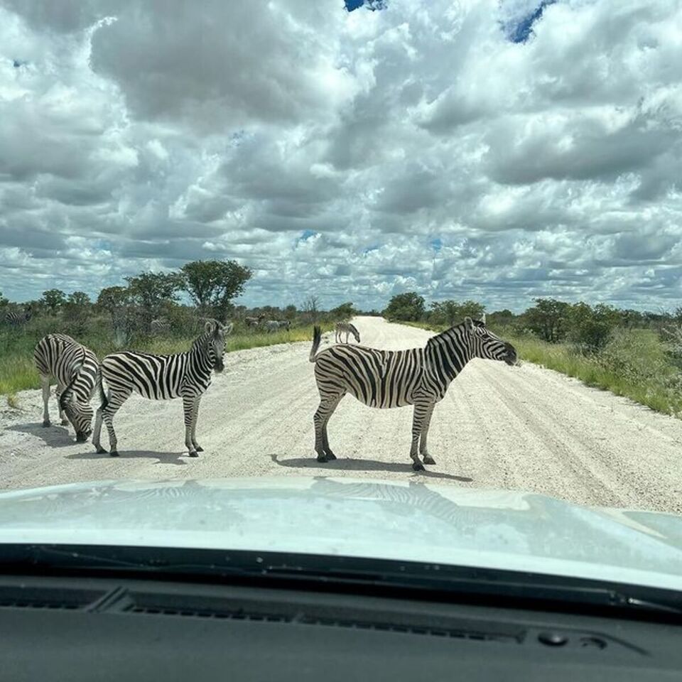 Namibia in November