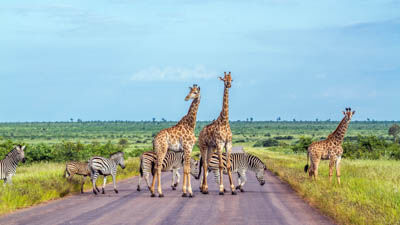 Kruger National Park