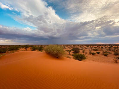 Kalahari