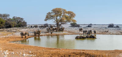 Etosha National Park