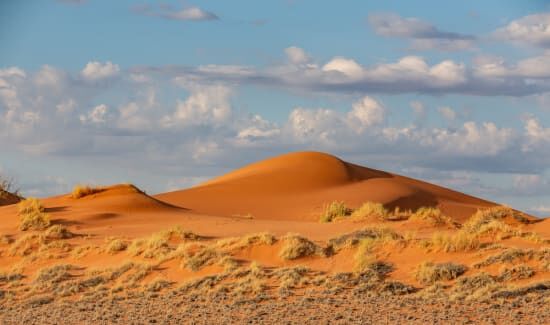 The Namib Desert