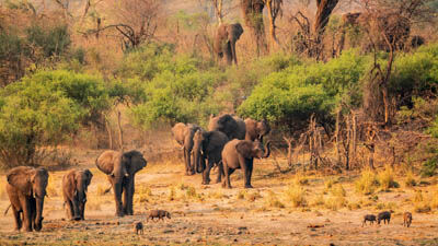 Damaraland