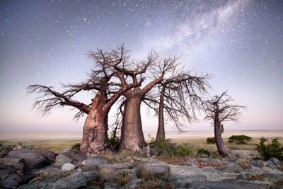 Makgadikgadi Pans NP
