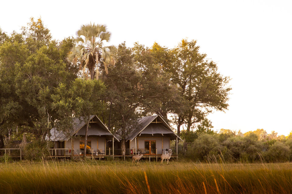 Chitabe Lediba Camp, photo 3