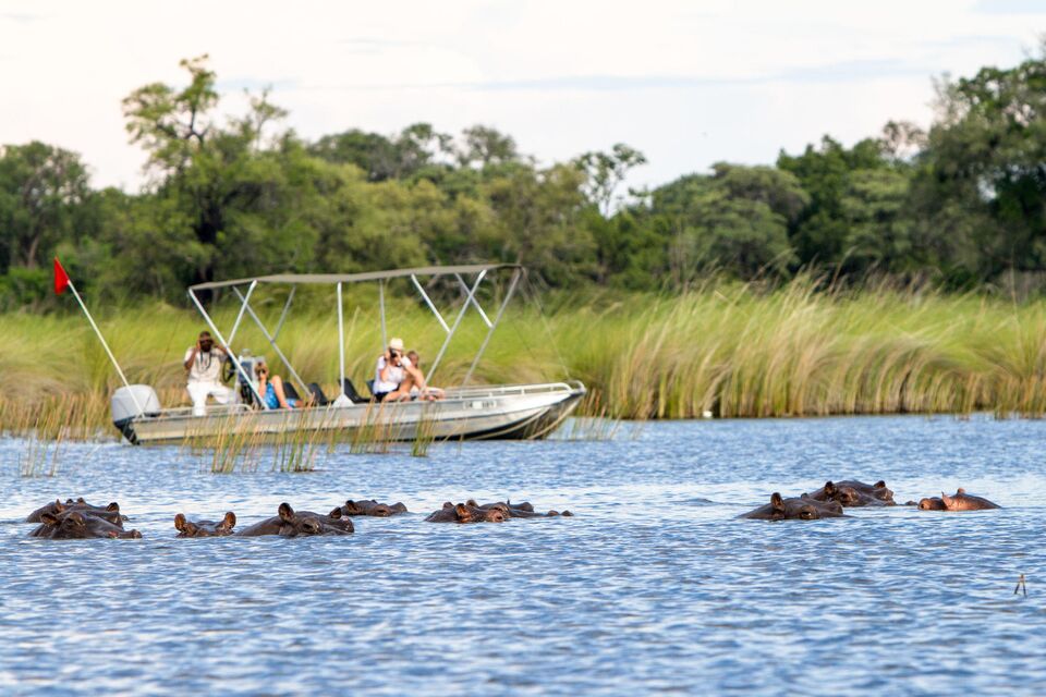 Boating Safari