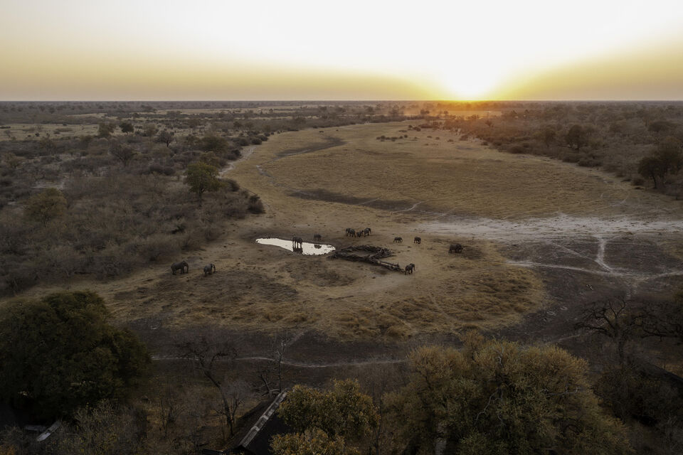 Savuti Camp, photo 4