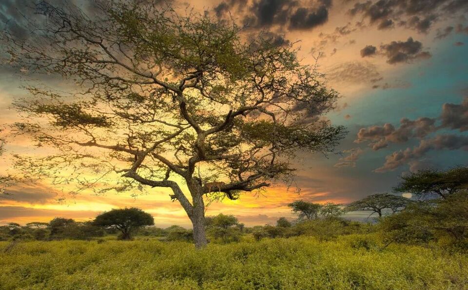 Namibia in January