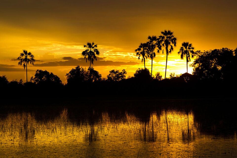 Jacana Camp, photo 3