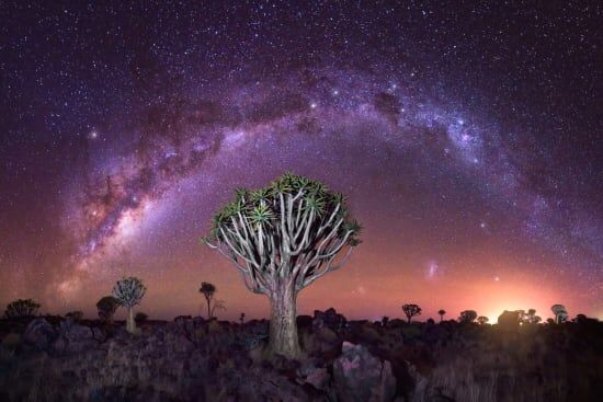 Giants Playground & Quiver Tree Forest