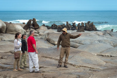 Coastal Excursion