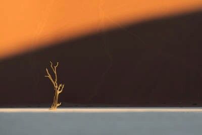 Deadvlei