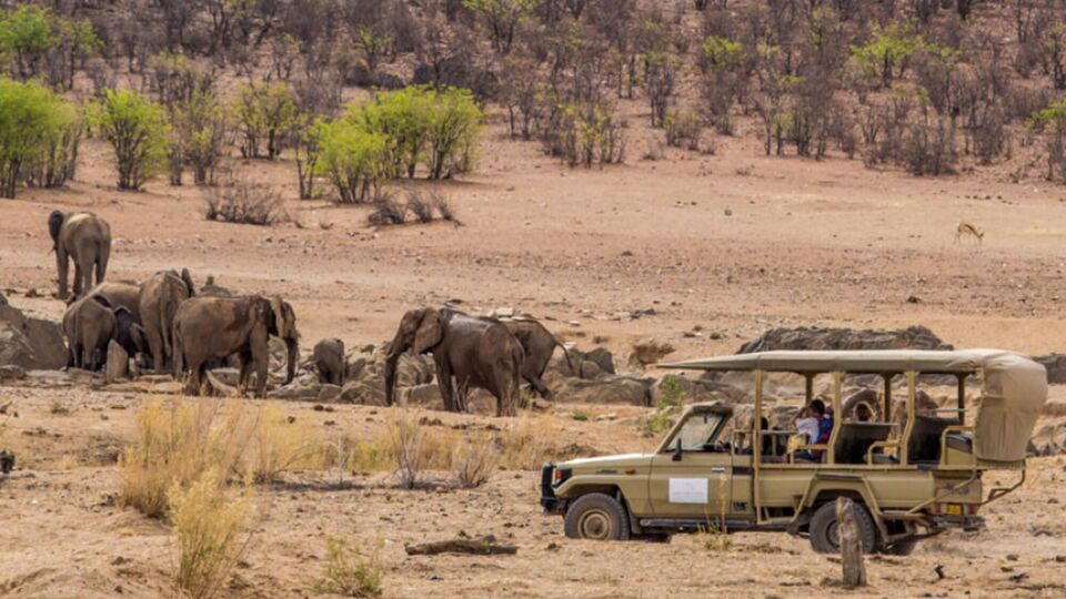 Hobatere Lodge, photo 3
