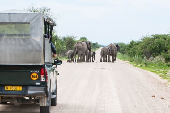 Safari Activities from Windhoek