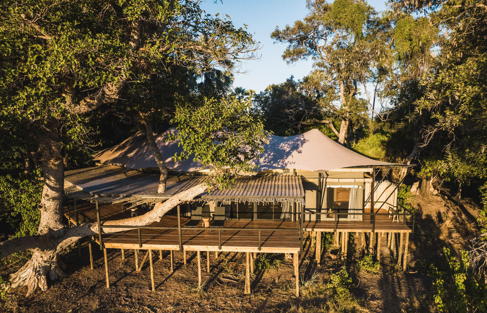 Tubu Tree Camp