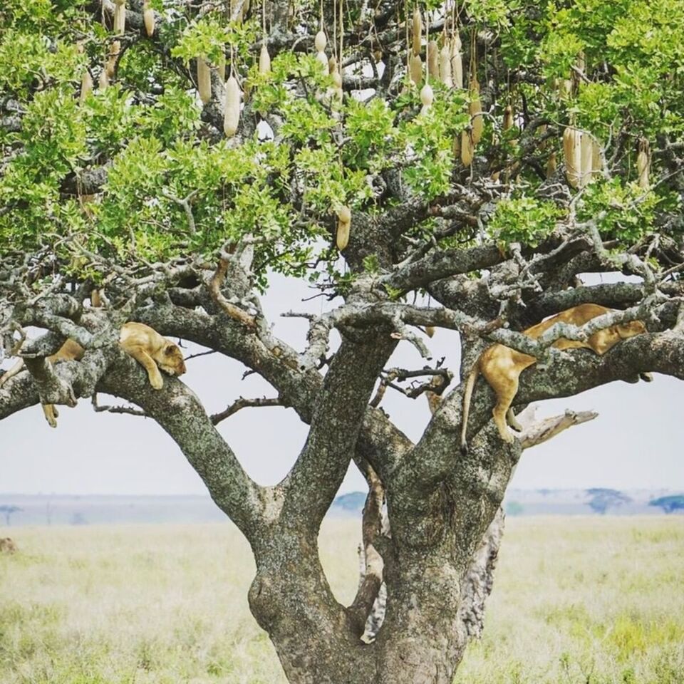 Namibia in December