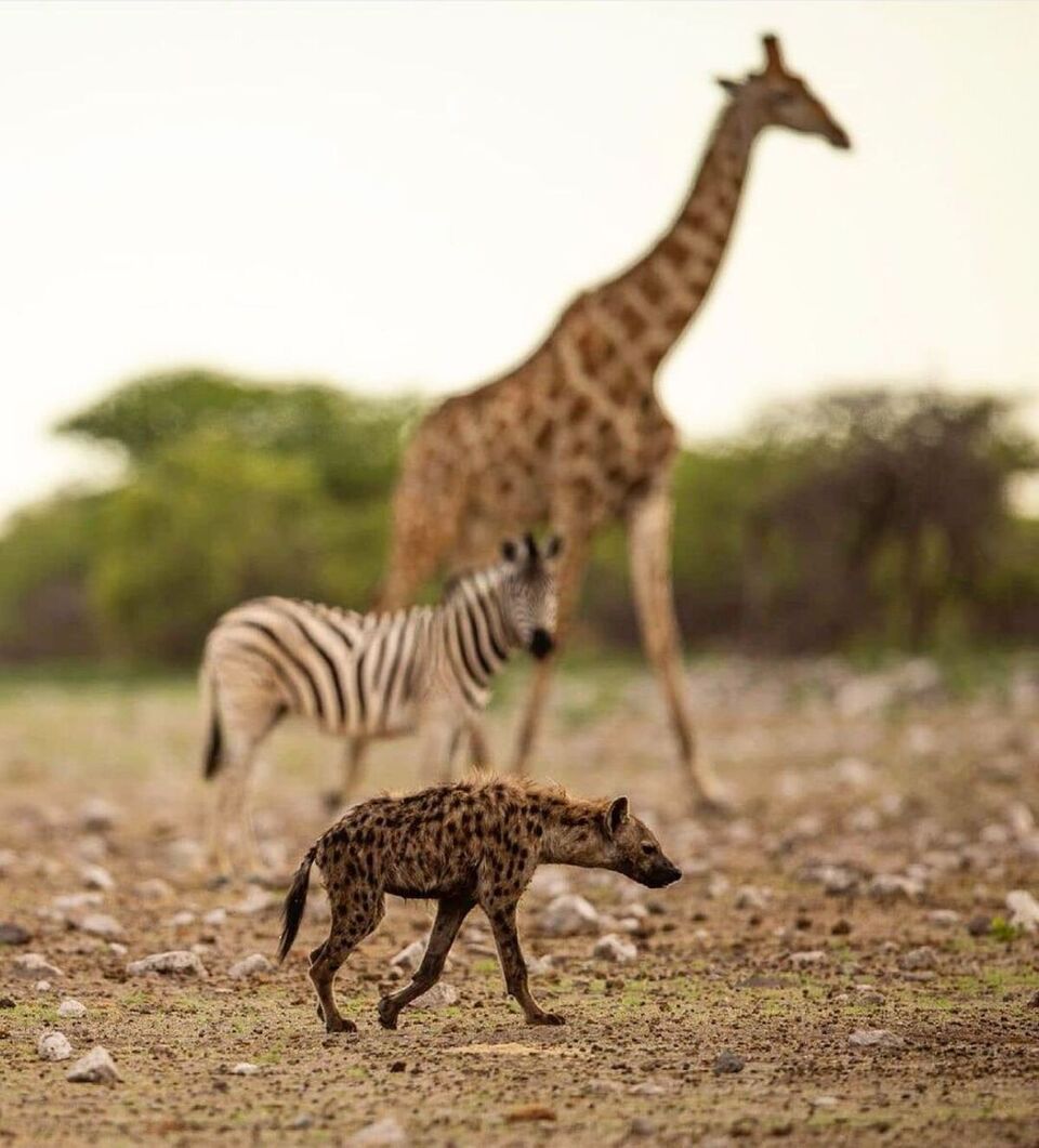 Namibia in July