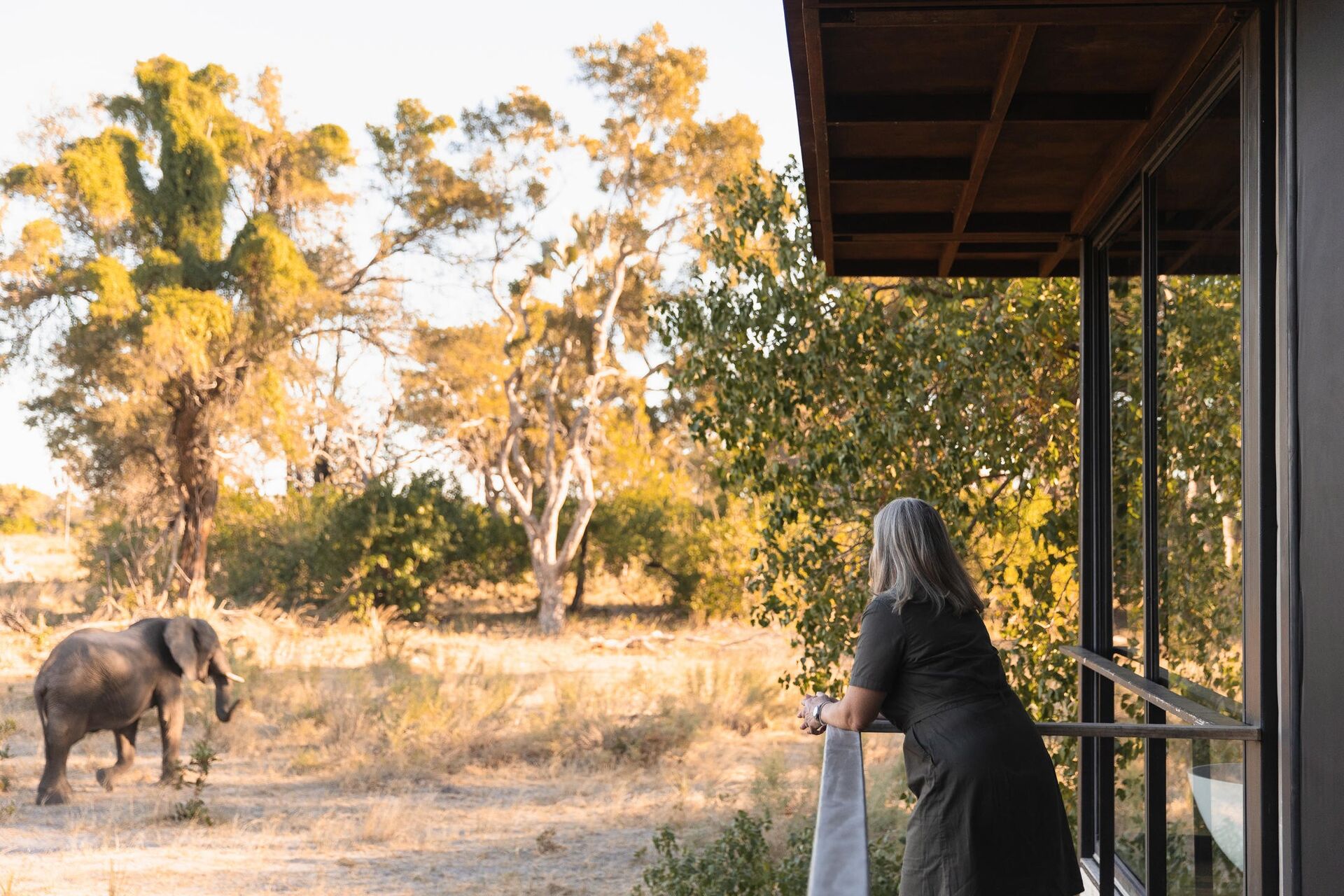 Qorokwe Camp