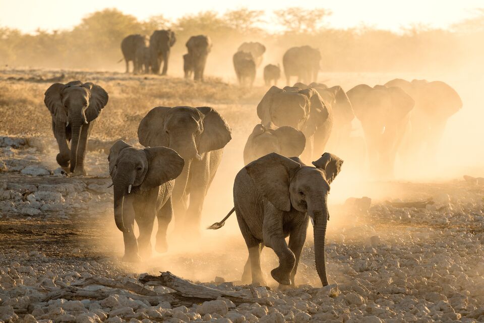 Damaraland