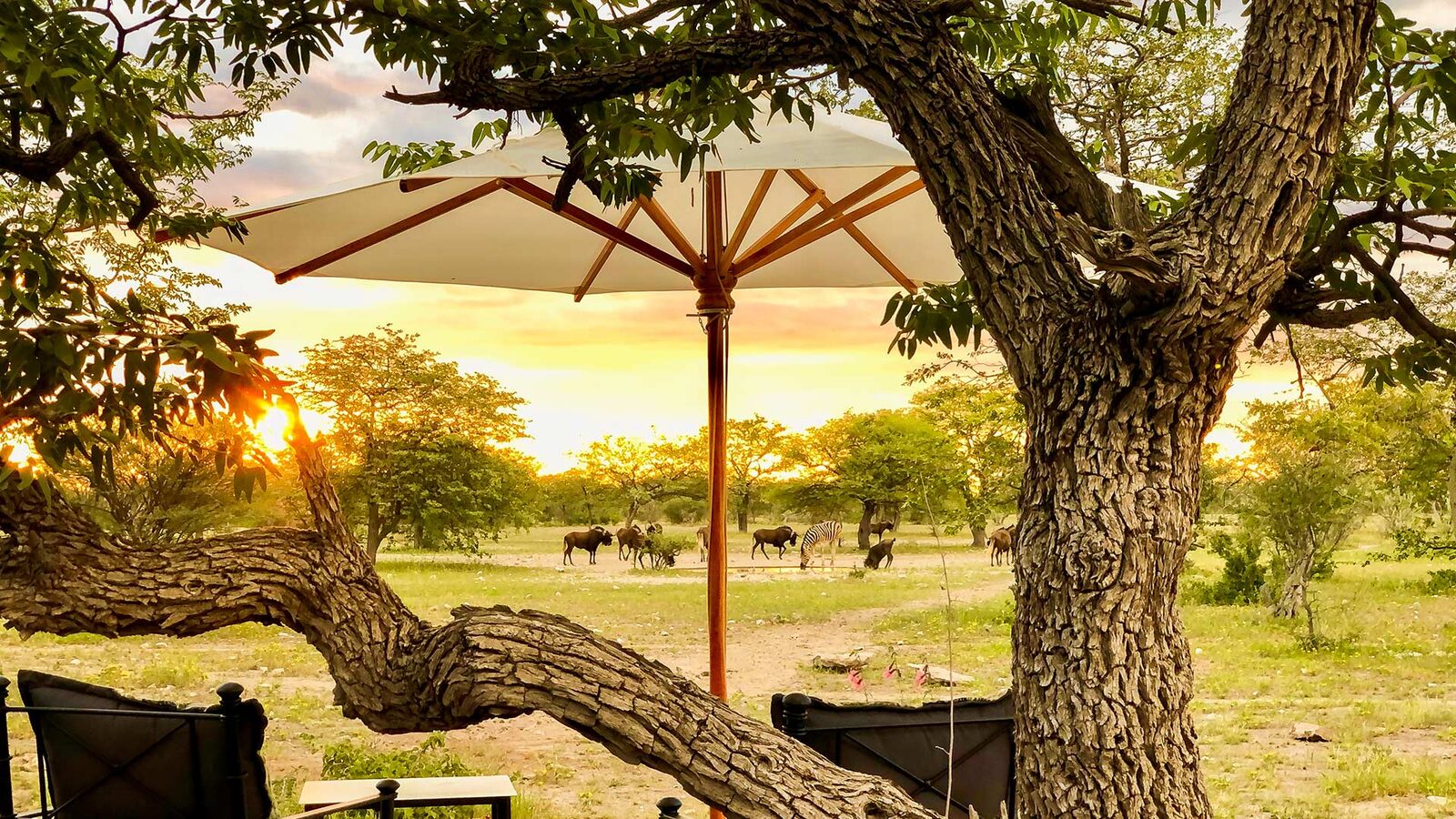 Etosha Oberland Lodge